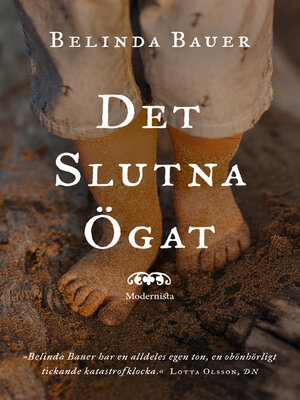 cover image of Det slutna ögat